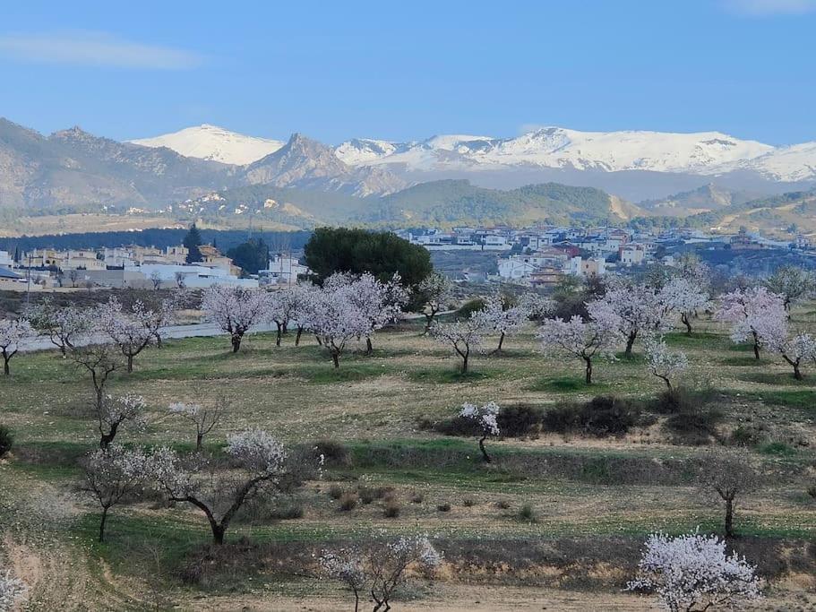 Villa Terracota, Lujo En Granada Y Sierra Nevada Eksteriør billede